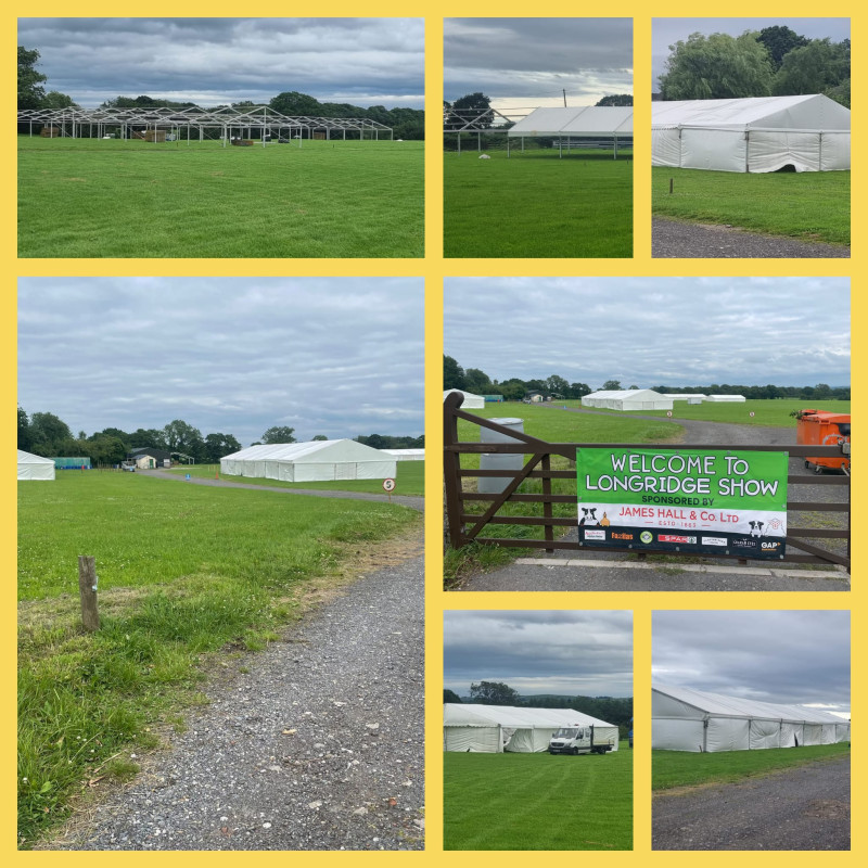Show Field