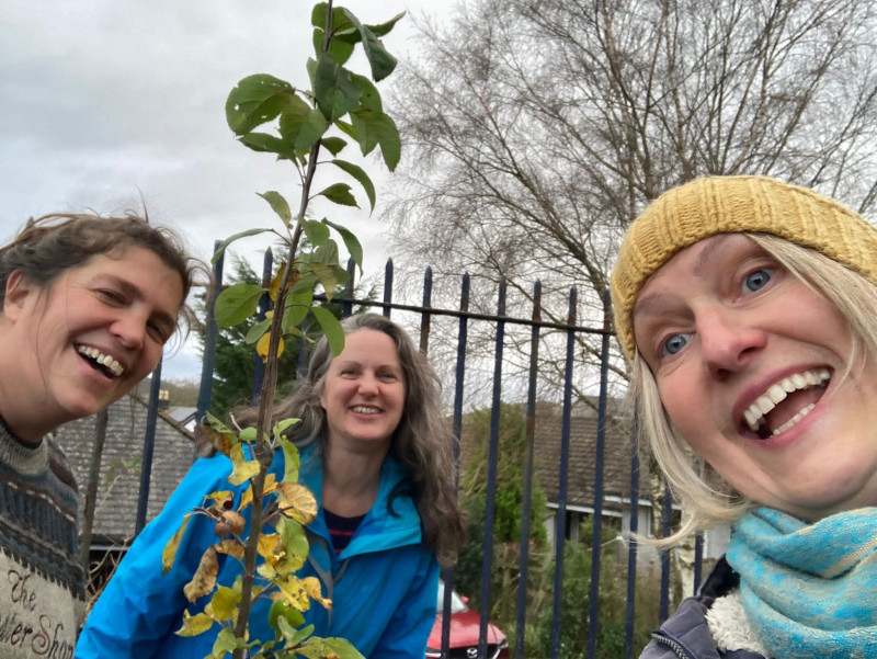 Planting two fruit trees in the garden ready for pollinators