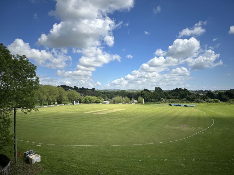 Playing Field