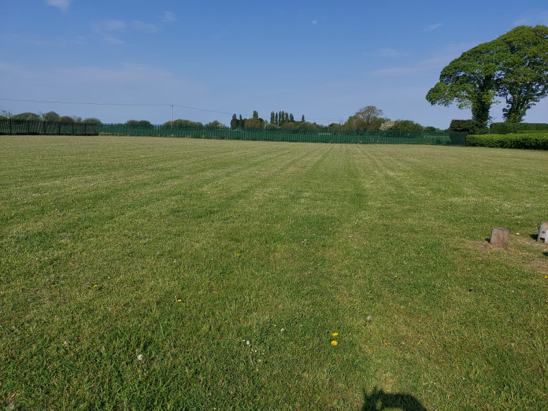 Field