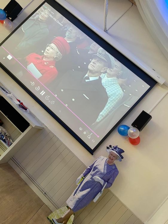 Cinema/Projector Screen